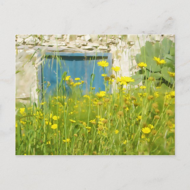Postal Flores acuáticas amarillas (Anverso)