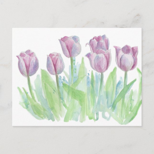 Postal Flores acuáticas de tulipán de la lavadora Pastel  (Anverso)
