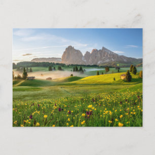 Postal Flores   Alpe de primavera de Siusi Langkofel