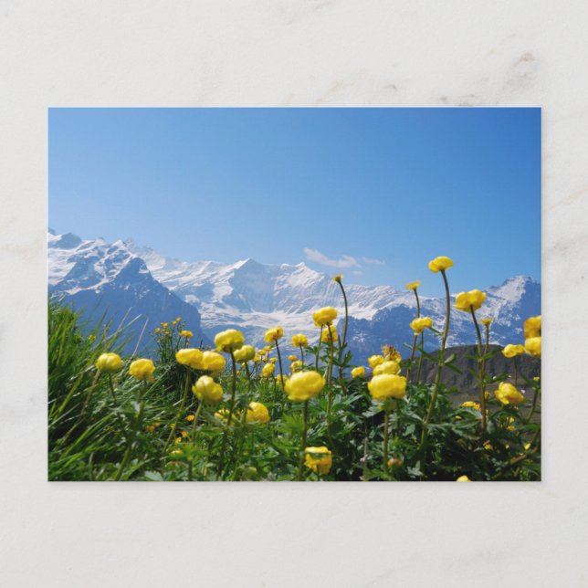 Postal Flores | Alpes suizos Eiger Monch (Anverso)