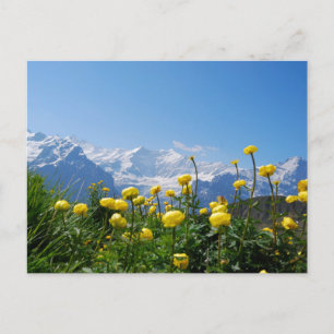 Postal Flores Alpes suizos Eiger Monch