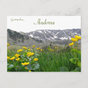 Postal Flores amarillas cerca de los Pirineos Medianos en
