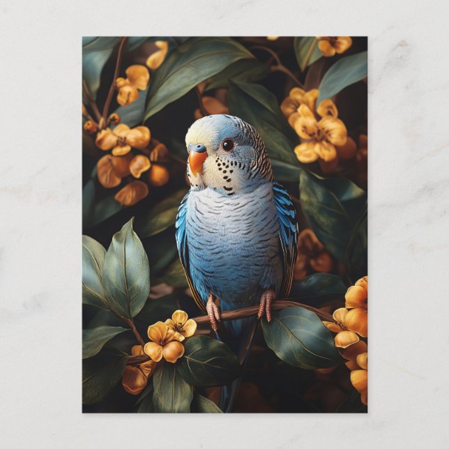Postal Flores amarillas de Budgie Budgerigar (Anverso)