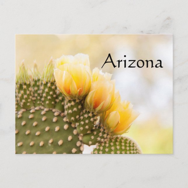 Postal flores amarillas de cactus mientras florecen en Ar (Anverso)