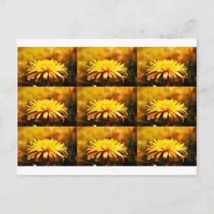 Postal Flores Amarillas de Diente de León Enredaderas Pri