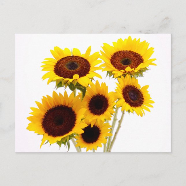 Postal Flores amarillas de girasoles forales - Amor, Te e (Anverso)