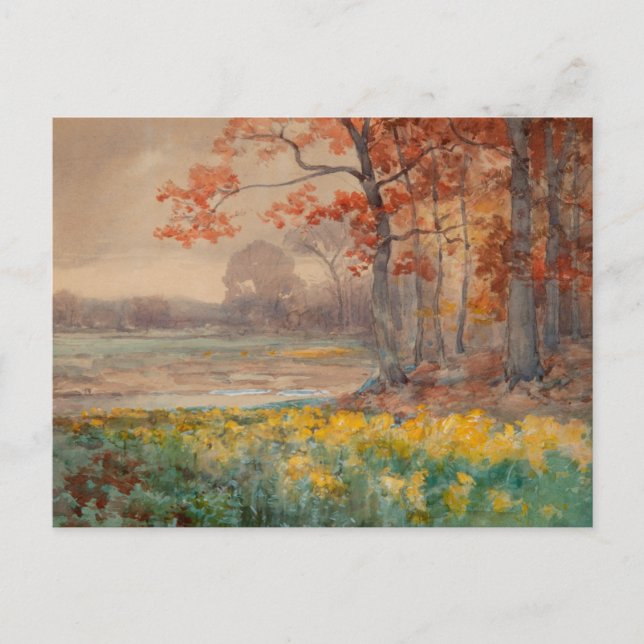 Postal Flores Amarillas Día Gris, 1911 (Anverso)