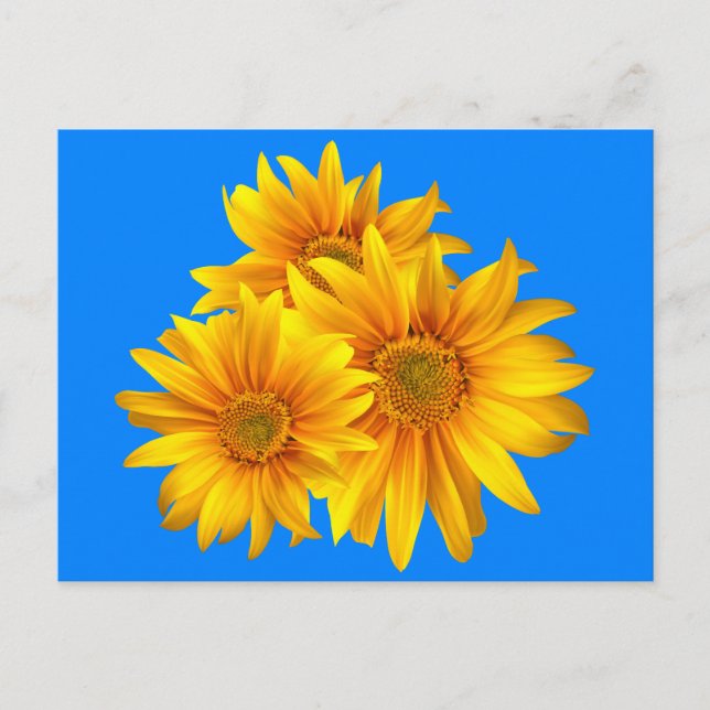 Postal Flores amarillas girasoles florales cielo azul (Anverso)