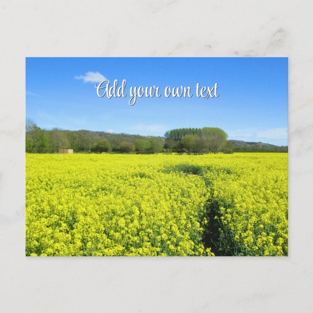 Postal Flores amarillas y azules - Personalizadas (Anverso)