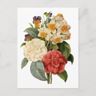 Postal Flores antiguas, camelias y narcisos, Redoute