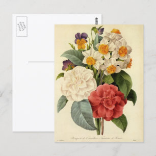 Postal Flores antiguas, camelias y narcisos, Redoute