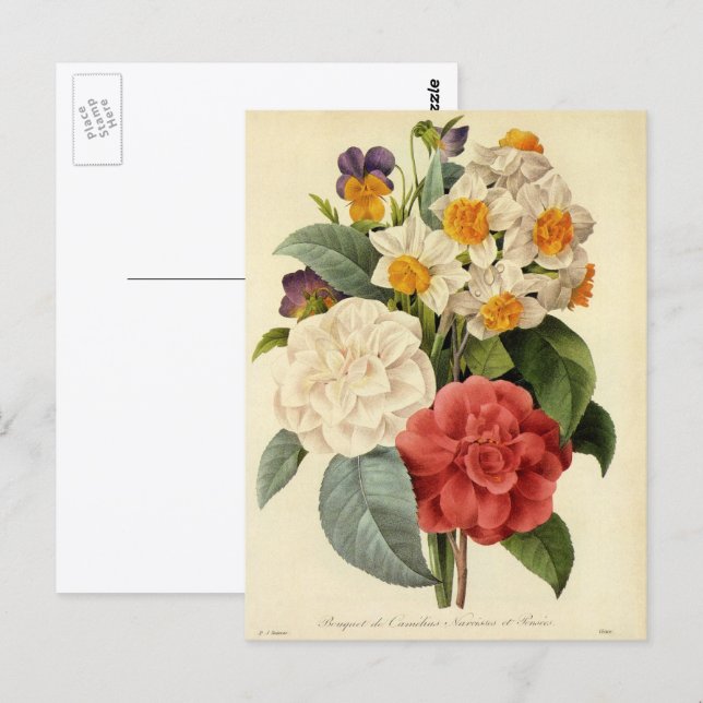 Postal Flores antiguas, camelias y narcisos, Redoute (Anverso / Reverso)