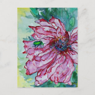 Postal Flores asaltadas