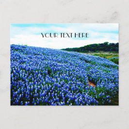 Postal Flores azules azul Texas texan Floral