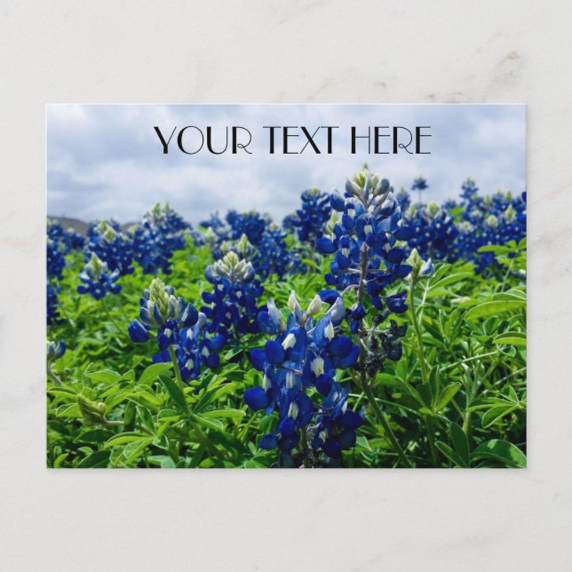 Postal Flores azules azul Texas texan Floral (Anverso)