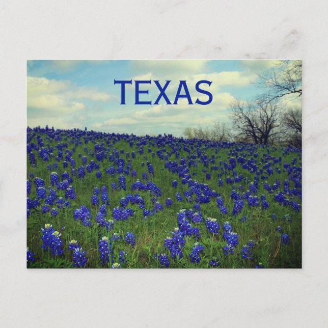 Postal Flores azules de azul Texas Texan Floral Postca (Anverso)