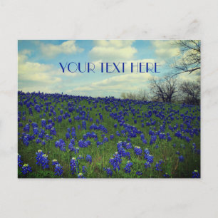 Postal Flores azules de Bluebonnets Texas Texan Floral