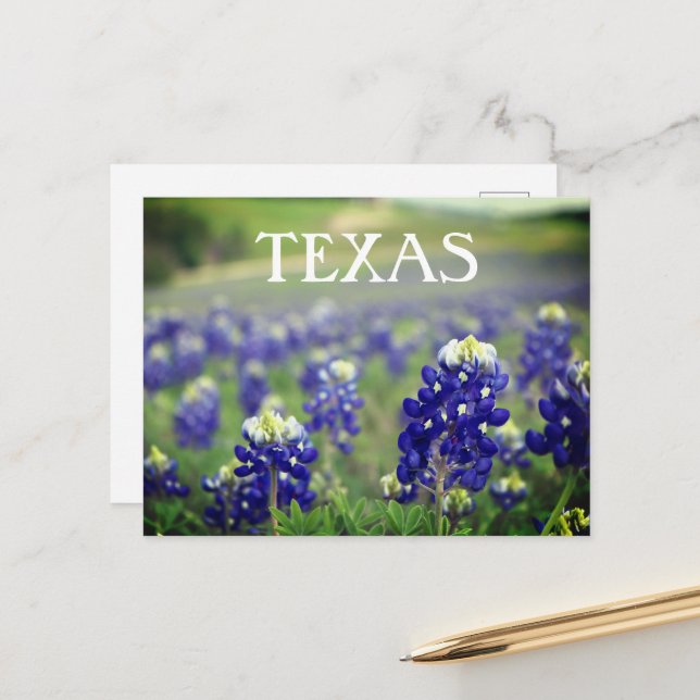 Postal Flores azules de Bluebonnets Texas Texan Floral (Anverso/Reverso In Situ)