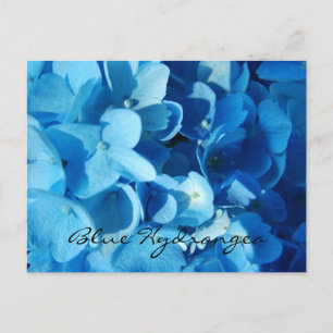 Postal Flores azules, hortensia