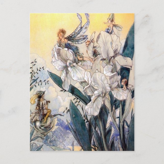 Postal Flores azules vintage pastel (Anverso)