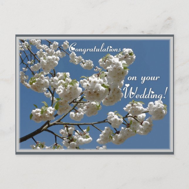 Postal Flores blancas (Anverso)