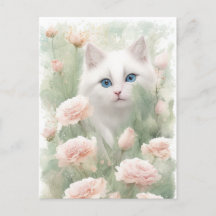 Flores blancas de gato y rosa