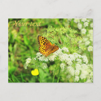 Postal Flores blancas de mariposa negra y naranja