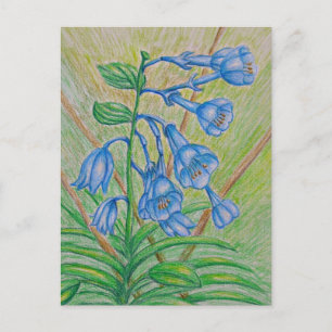 Postal Flores BlueBell