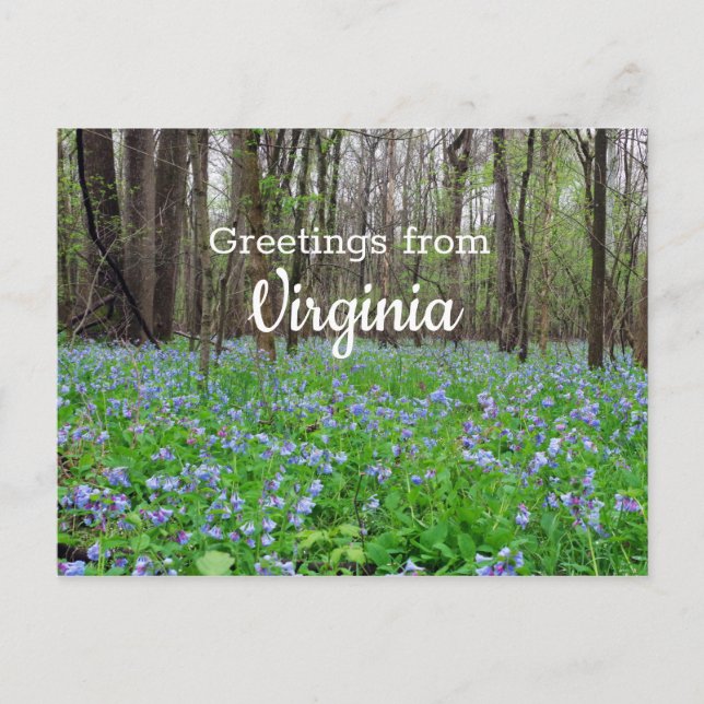 Postal Flores Bluebell del Estado de Virginia (Anverso)
