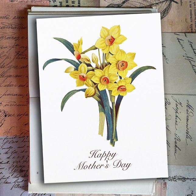 Postal Flores Botánicas Vintage Elegantes Daffodils Amari (Subido por el creador)