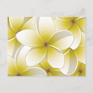Postal Flores brillantes de Frangipani/ Plumeria