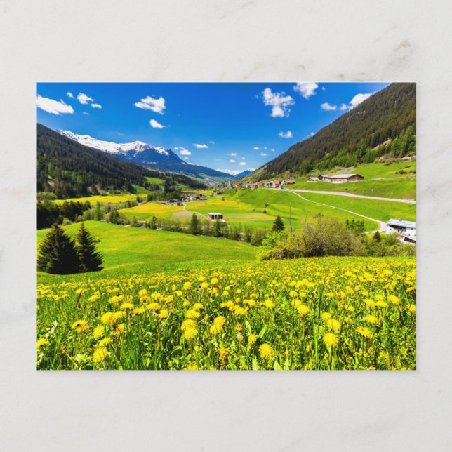 Postal Flores | Cantón Dandelion de Grisons, Suiza (Anverso)