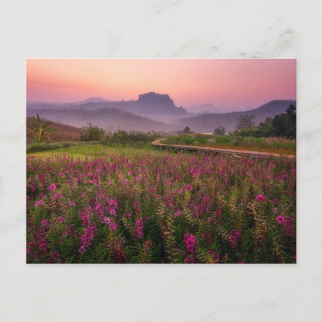 Postal Flores | Chiang Dao, Chiang Mai, Tailandia (Anverso)