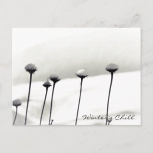 Postal Flores cubiertas de nieve