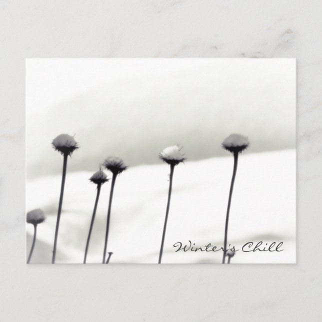 Postal Flores cubiertas de nieve (Anverso)