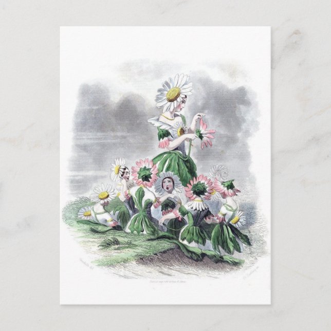 Postal Flores Daisy Flores Animadas Abuelo (Anverso)