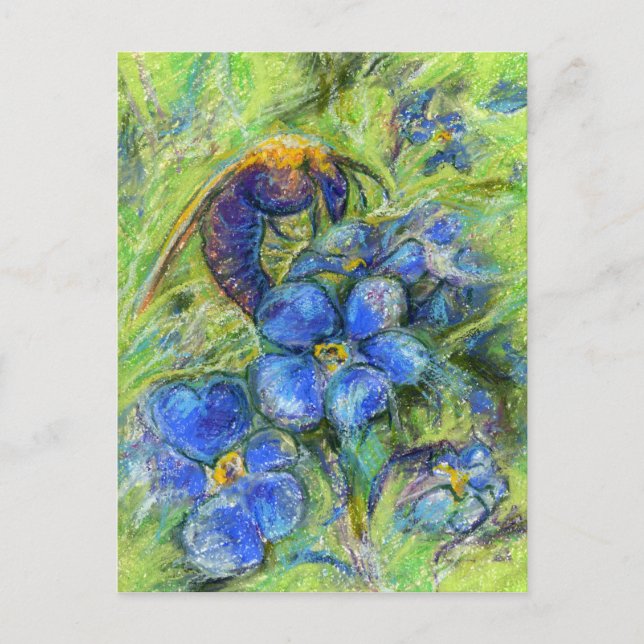 Postal Flores de abeja y olvidadiza (Anverso)