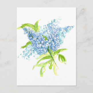 Postal Flores de acuarela Blue Lilacs Spring Bouquet