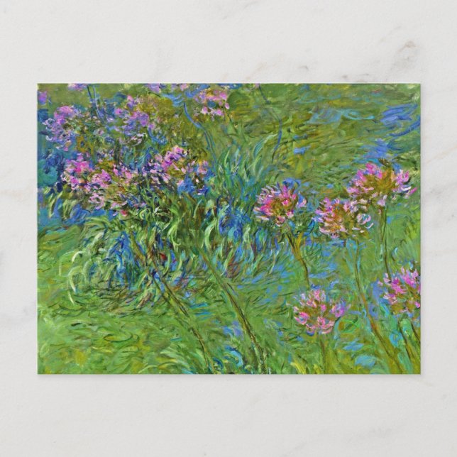 Postal Flores de Agapanthus de Monet (Anverso)
