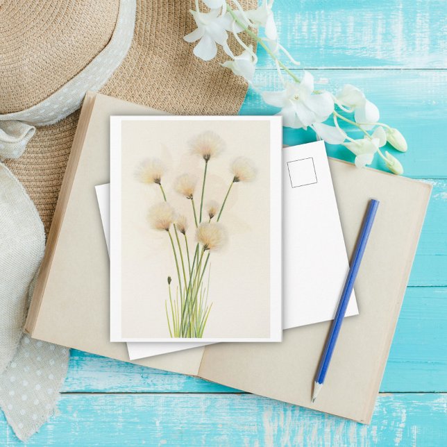 Postal Flores de algodón (Subido por el creador)