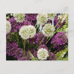 Postal Flores de alio blanco y morado