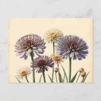 Flores de alio silenciadas en papel viejo