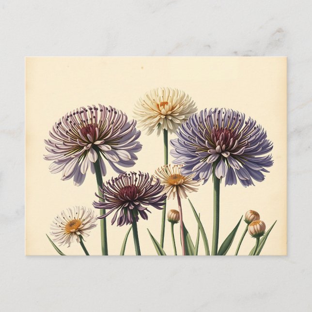 Postal Flores de alio silenciadas en papel viejo (Anverso)