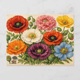 Postal Flores de amapola color vintage