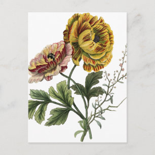 Postal Flores de amapola vintage
