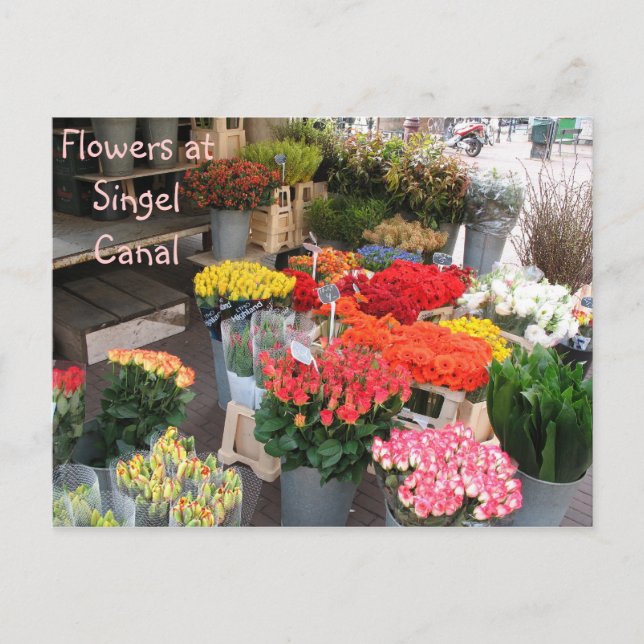 Postal Flores de Ámsterdam (Anverso)