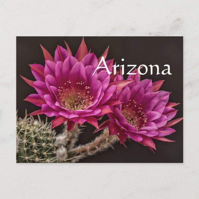 Postal Flores de antimateria, Arizona (Anverso)
