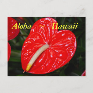 Postal Flores de antrurio rojo hawaiano