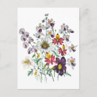 Flores de araña y de terciopelo