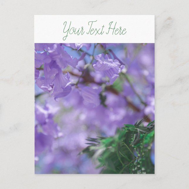 Postal Flores de árbol de jacarandá morado (Anverso)